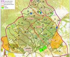 Erdőlátogatás 2025.09-10.